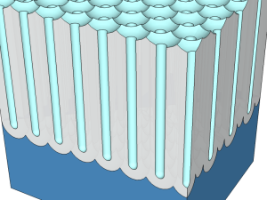 AAO Cross-Section Cropped