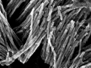 II-VI nanowires 25 nm AAO etched