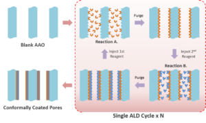 ALD process inside the pores of AAO