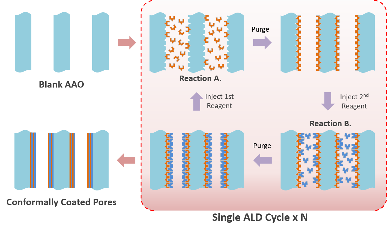 ALD process inside the pores of AAO