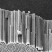 Cross-section of ATO film (nanotube diameter 100 nm, length 2 µm)