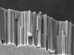 Cross-section of ATO film (nanotube diameter 100 nm, length 2 µm)