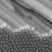 SEM image of ATO from the barrier layer side.