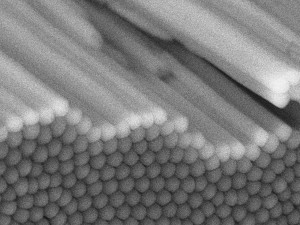 SEM image of ATO from the barrier layer side.