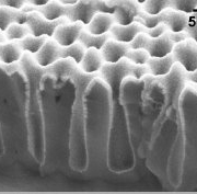 NiO ALD film in nanoporous AAO