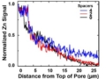 AAO films used as a Reference Substrate to Develop Spatial ALD in Rotating Drum Reactor