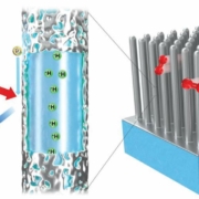 coaxial nanowire array electrodes for fuel cells