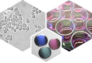 nanoporous ceramics for Life Science