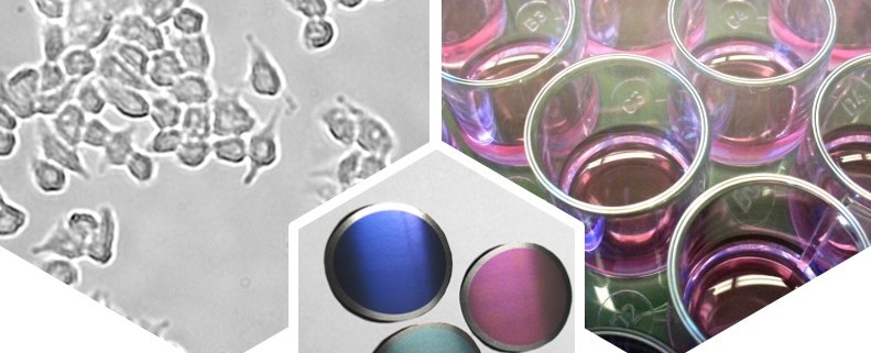 nanoporous ceramics for Life Science
