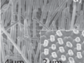 Perovskite nanowire array prepared by extrusion through InRedox AAO, Nano Lett., 2017, 17 (11), pp 6557–6563