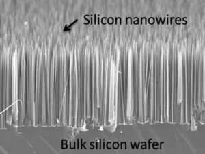 Arrays of Si nanowires on Si wafer