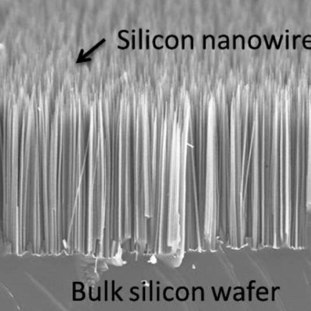 Arrays of Si nanowires on Si wafer