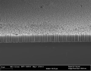 SEM image of Si nanowire array uniformity