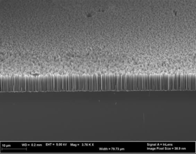 SEM image of Si nanowire array uniformity